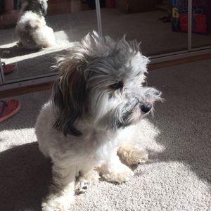 Meet your Posher, Cara